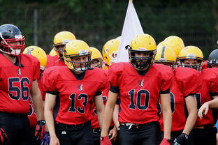 星空娱乐登录-球员伤病防护不足，球员伤病对球员的影响