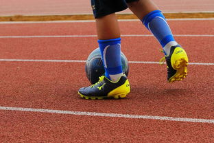 xk体育-CBA新赛季全面开打各队实力全面升级，cba新赛季有哪些球队